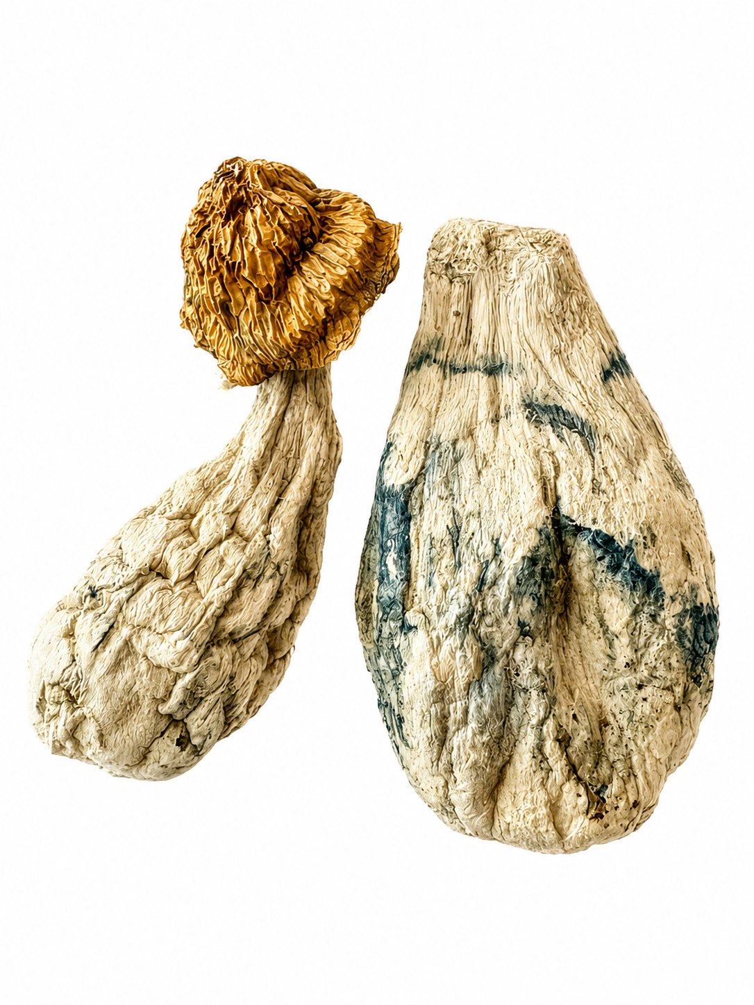 .Magic Mushrooms - Hillbilly