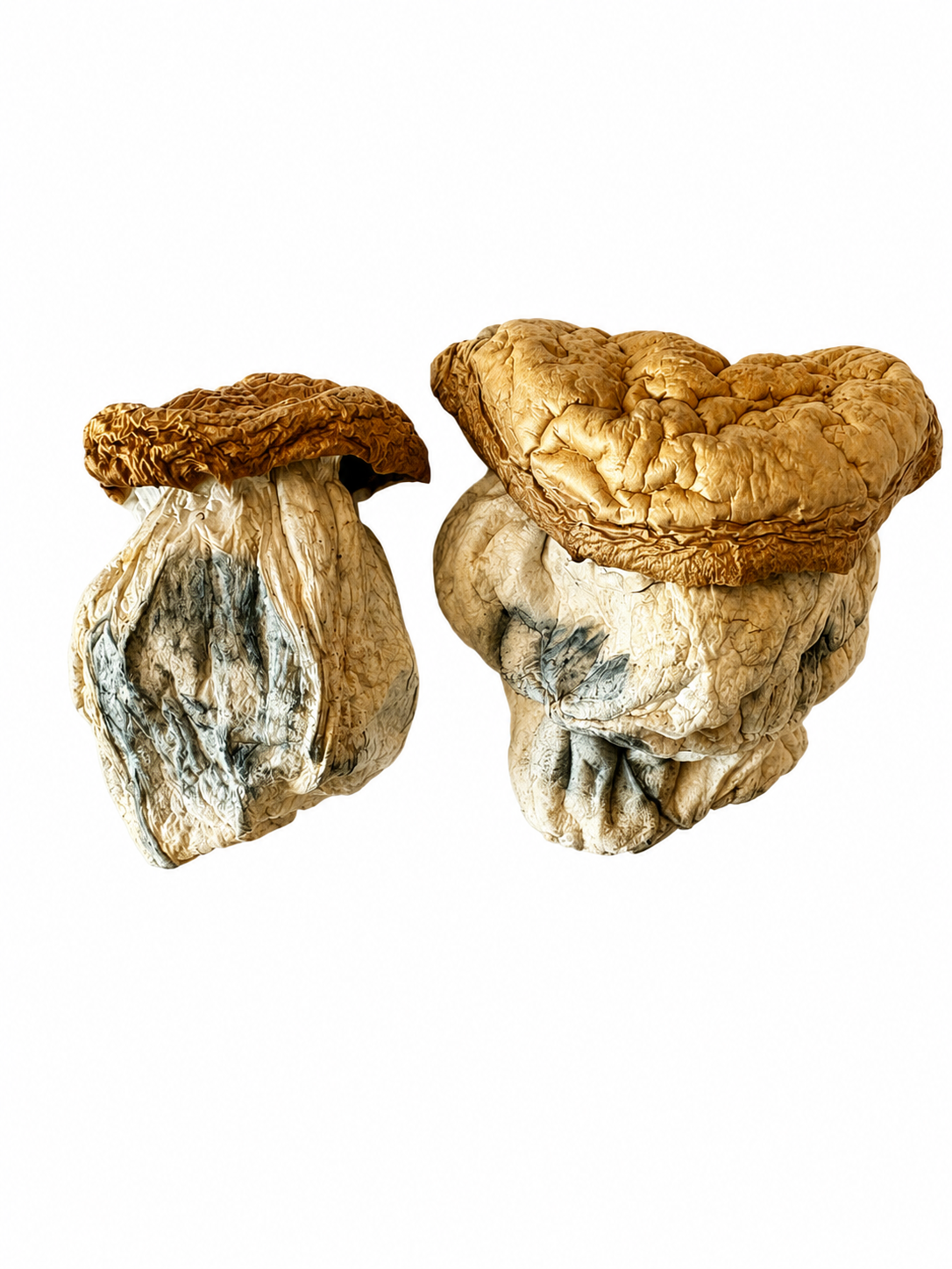 .Magic Mushrooms - Melmac Penic Envy