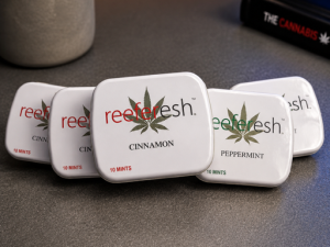 Reeferesh Cinnamon mints 100mg