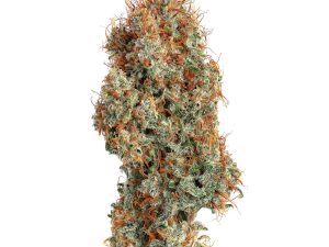 Super Lemon Haze