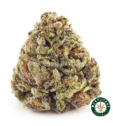 Black Cherry Og