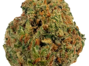 Black Jack